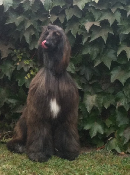 CH. Agha Djari's Another part of me